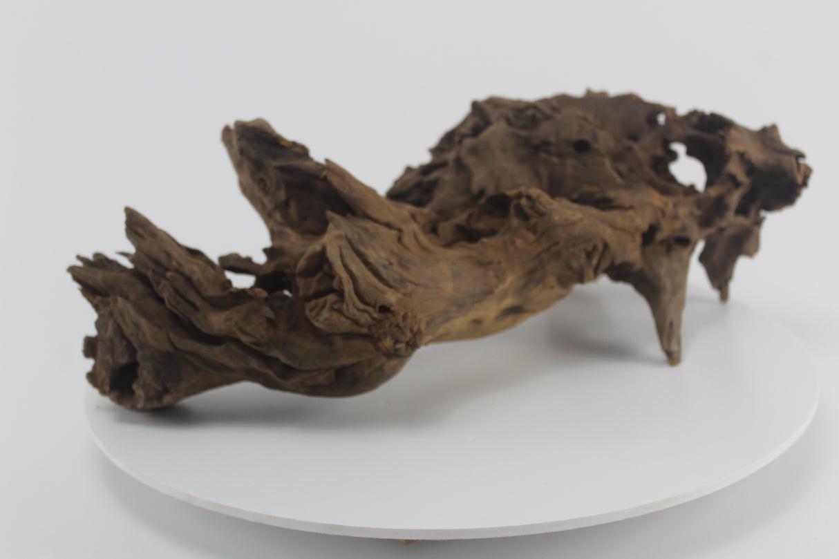 Raíz Opuwa para acuario