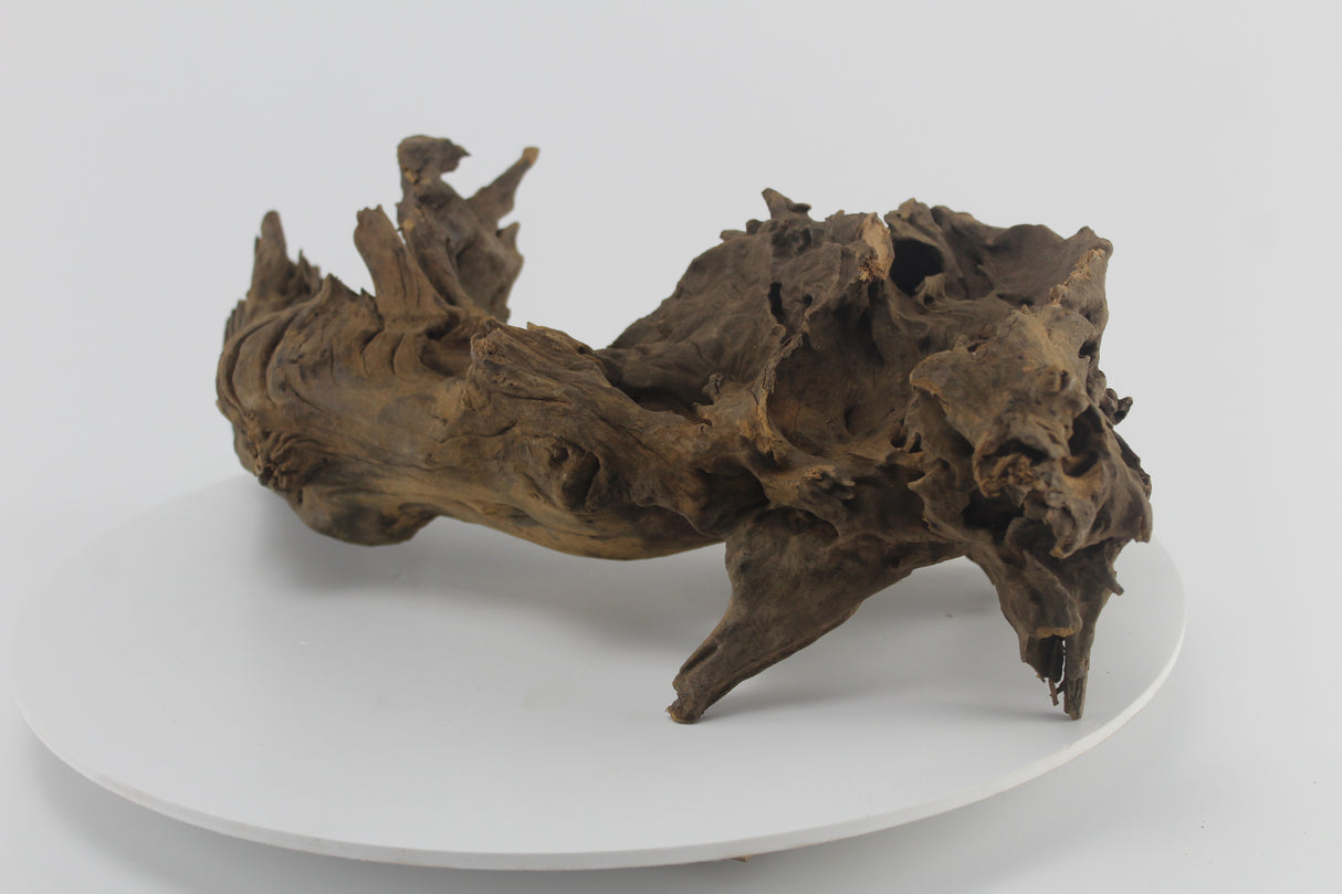 Raíz Opuwa para acuario