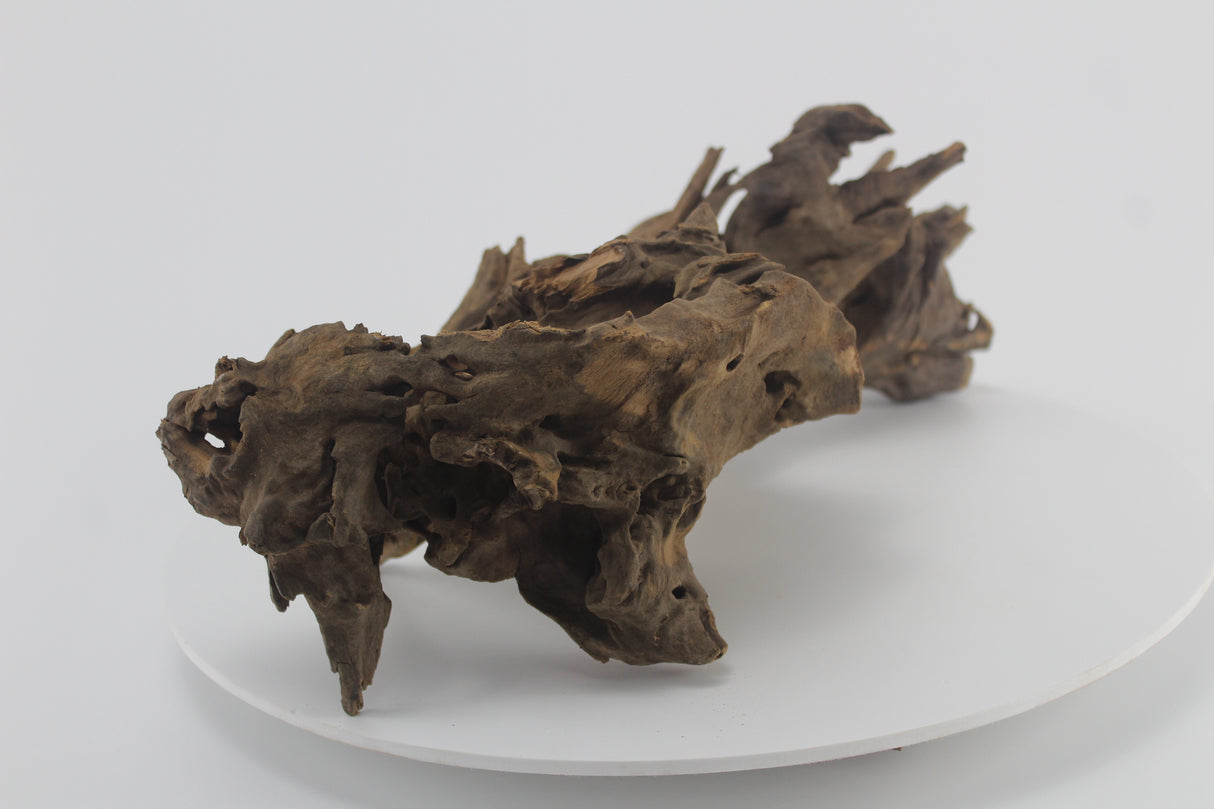 Raíz Opuwa para acuario