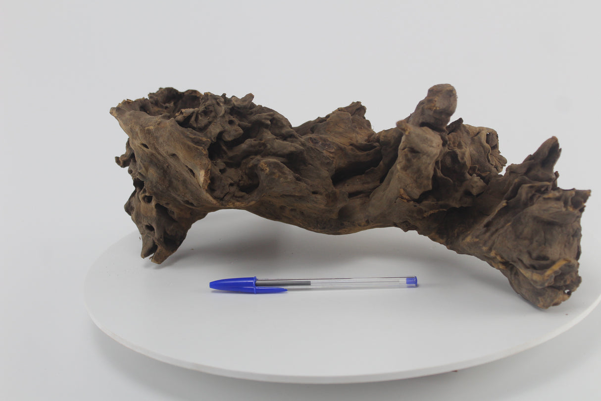 Raíz Opuwa para acuario