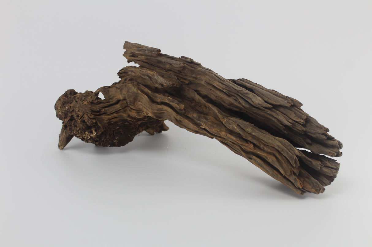 Raíz Opuwa para acuario