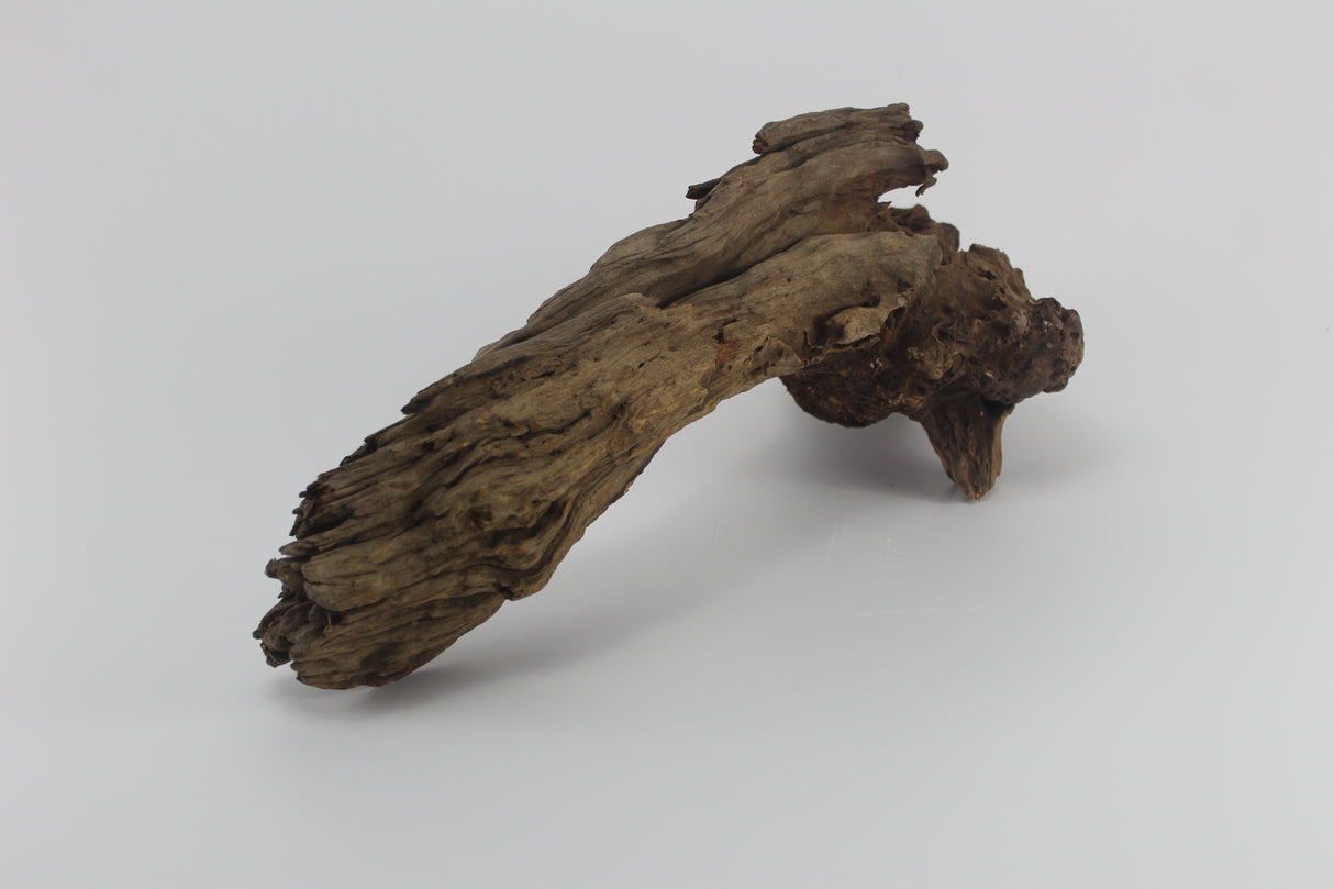 Raíz Opuwa para acuario