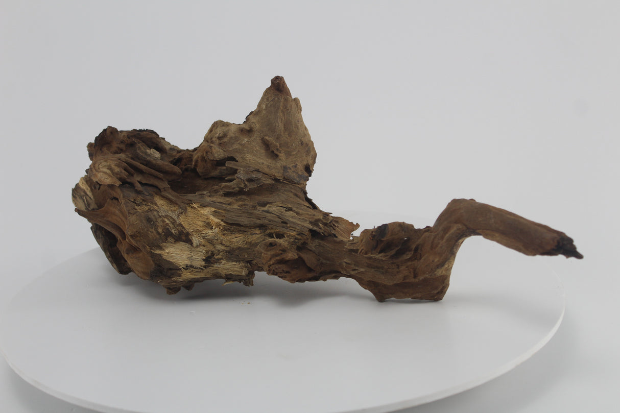 Raíz Opuwa para acuario