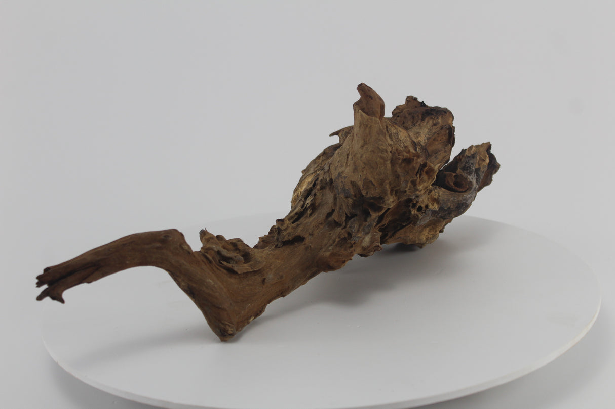 Raíz Opuwa para acuario