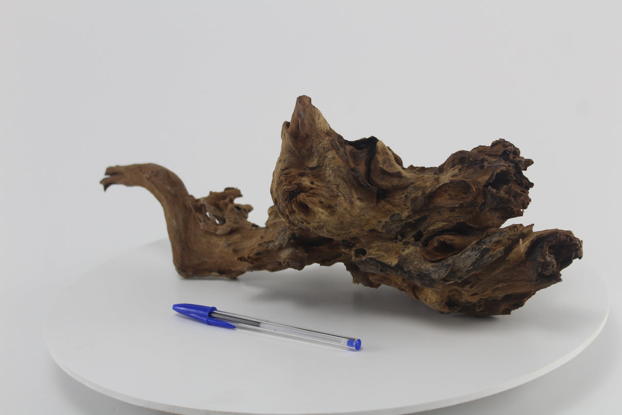 Raíz Opuwa para acuario