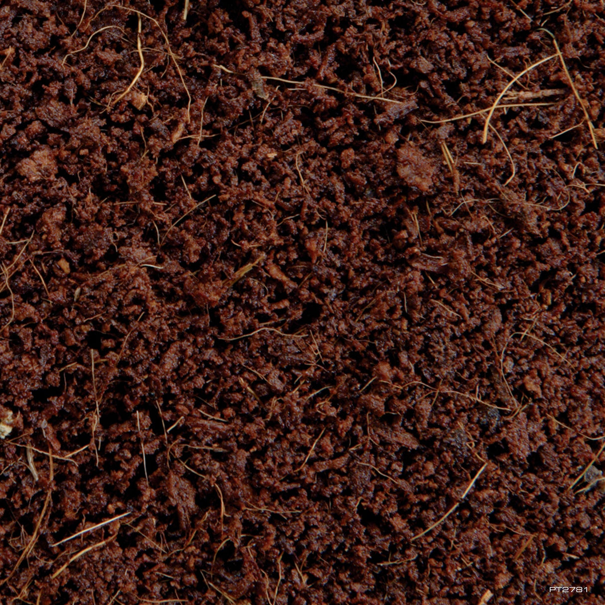 Sustrato para plantar Exo Terra Plantation Soil
