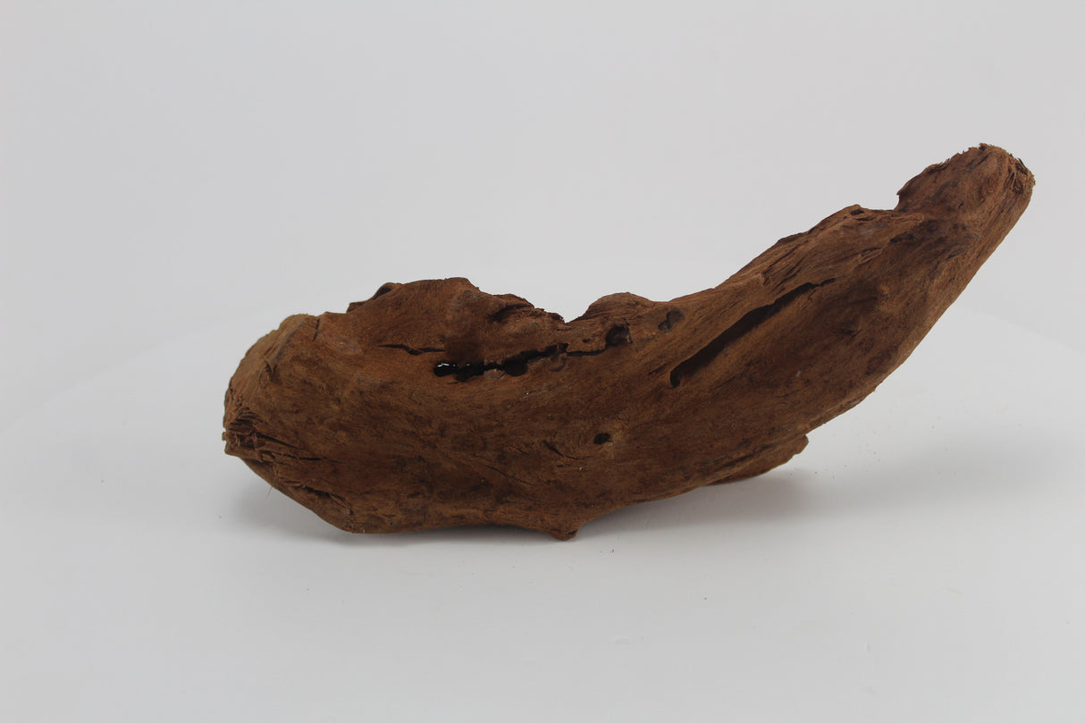 Raíz de Manglar para acuario