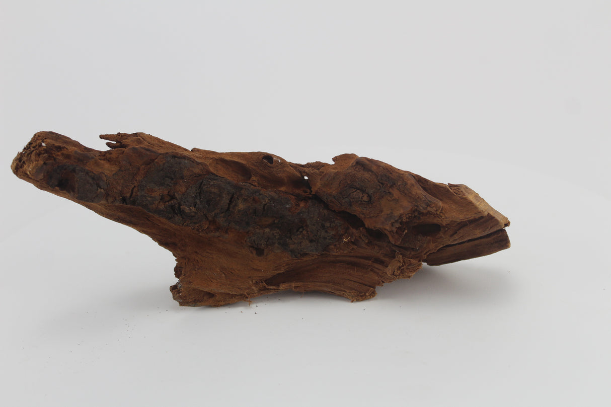 Raíz de Manglar para acuario