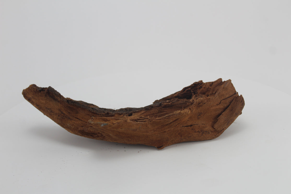 Raíz de Manglar para acuario