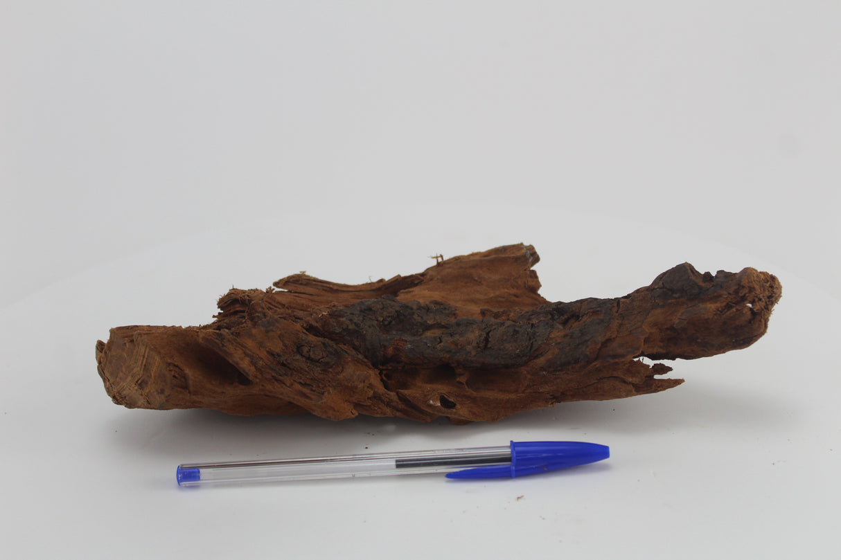 Raíz de Manglar para acuario