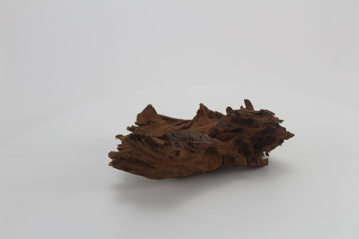 Raíz de Manglar para acuario