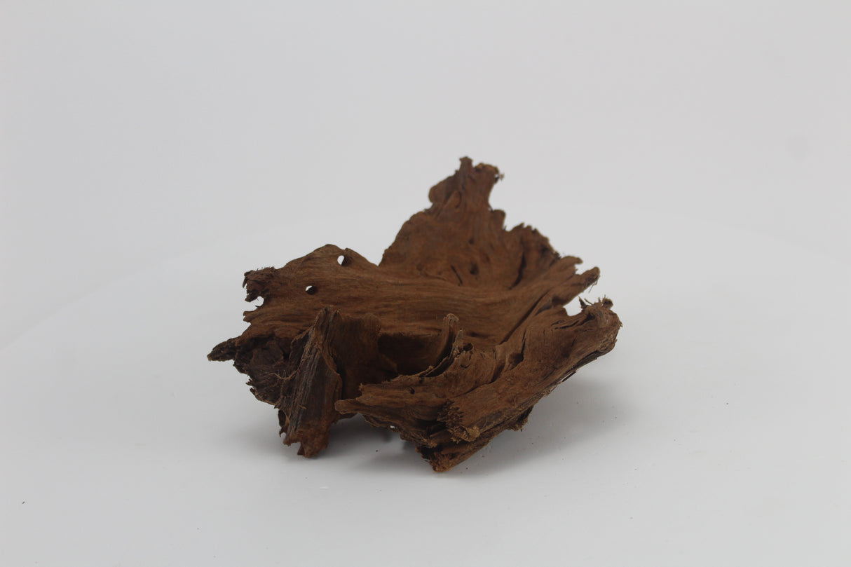 Raíz de Manglar para acuario