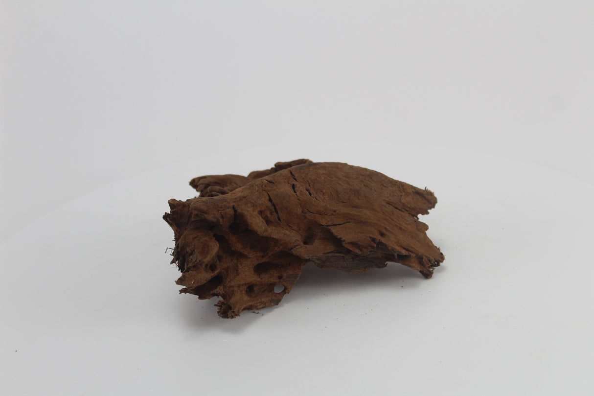 Raíz de Manglar para acuario