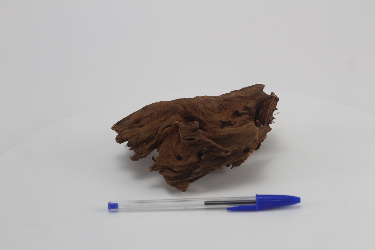 Raíz de Manglar para acuario