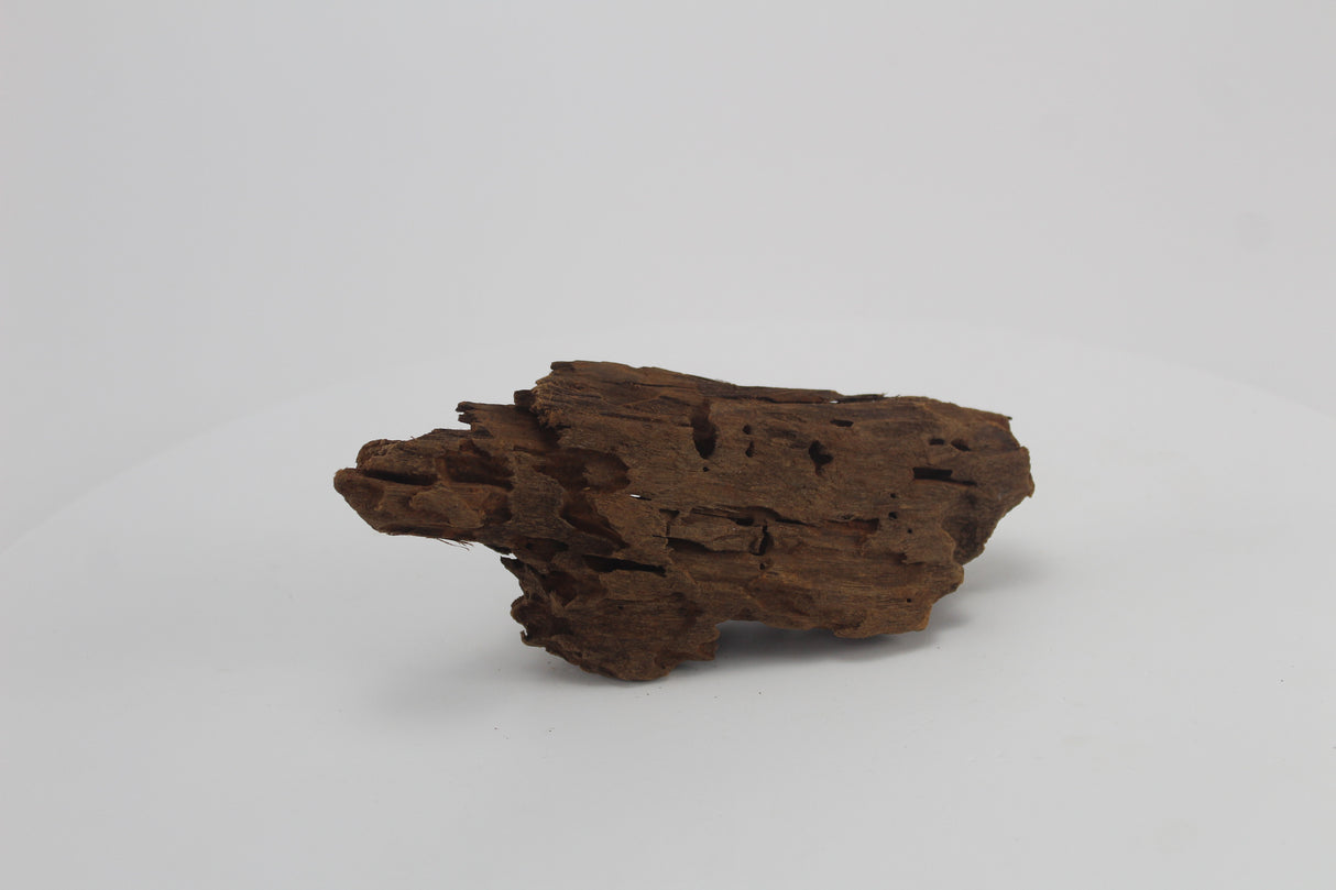 Raíz de Manglar para acuario