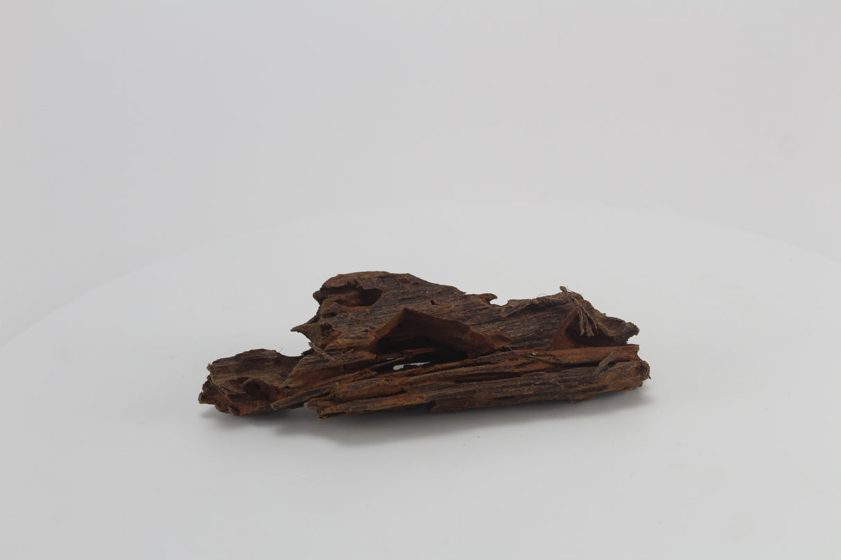 Raíz de Manglar para acuario