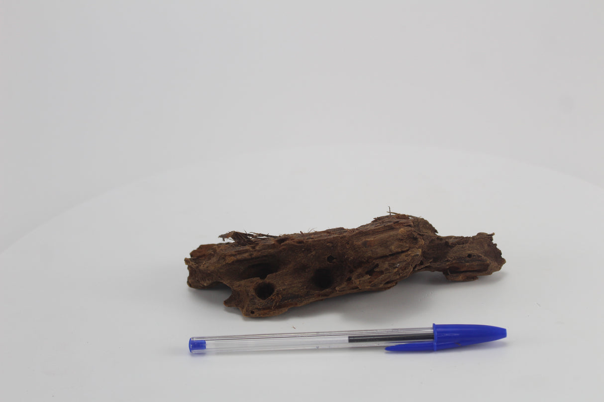 Raíz de Manglar para acuario