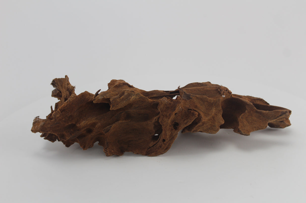 Raíz de Manglar para acuario