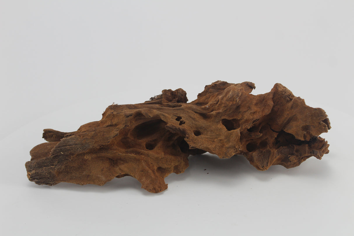 Raíz de Manglar para acuario