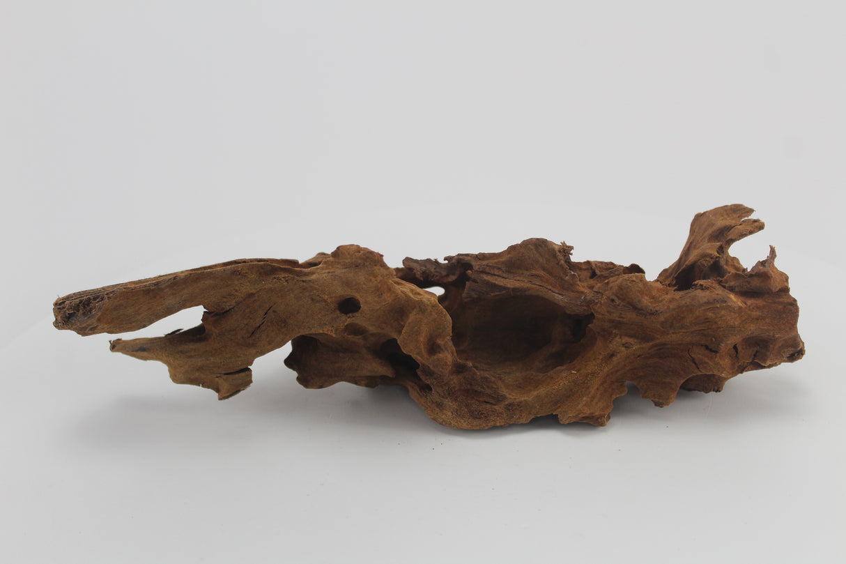 Raíz de Manglar para acuario