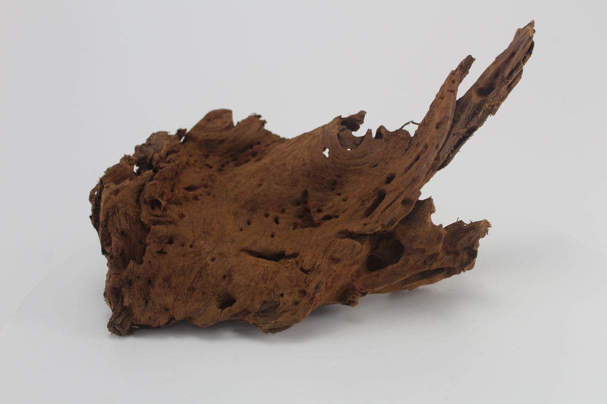 Raíz de Manglar para acuario