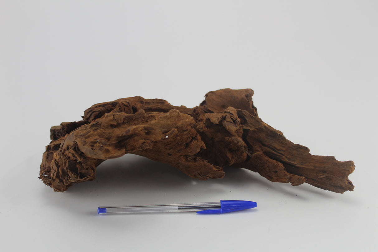 Raíz de Manglar para acuario