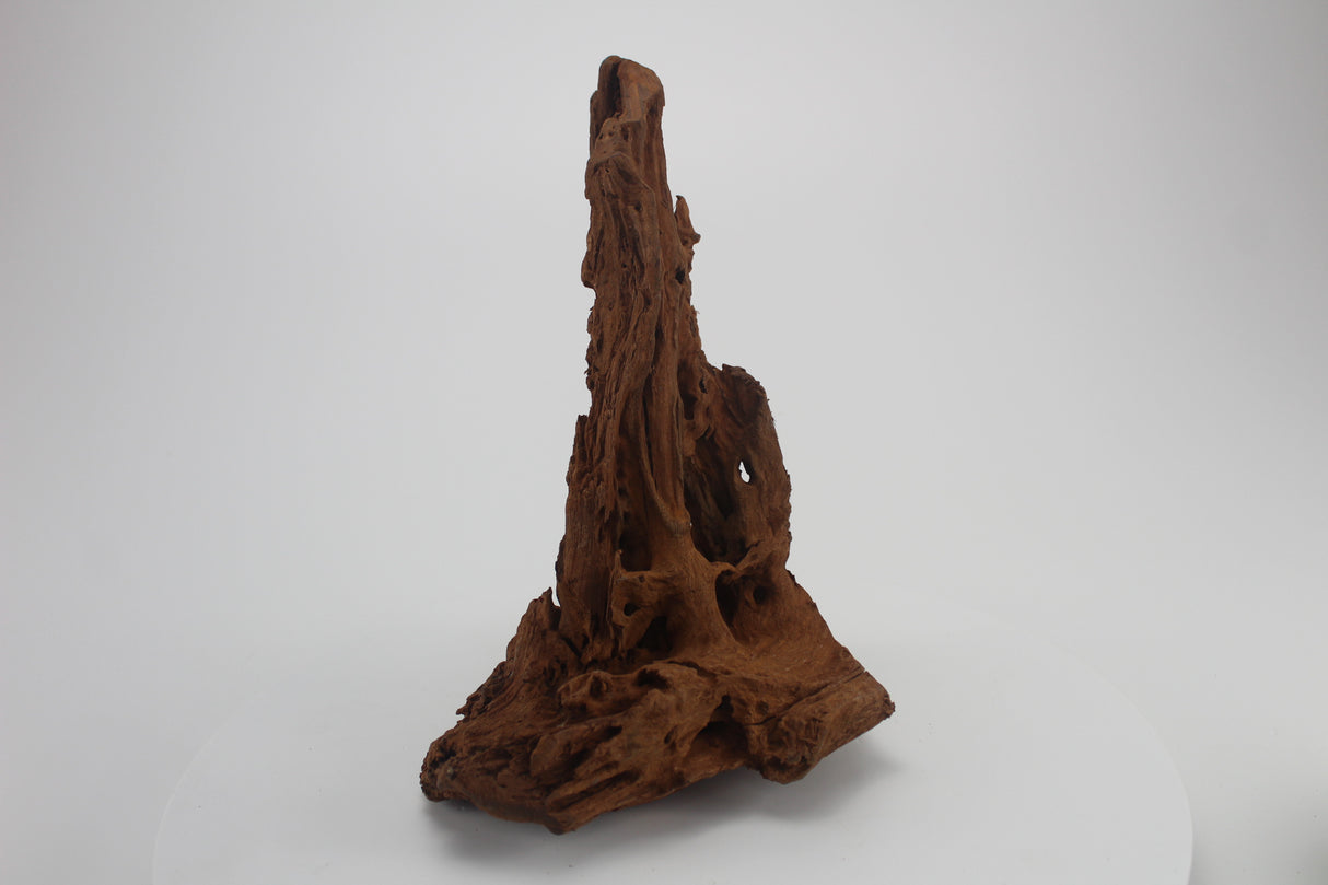 Raíz de Manglar para acuario