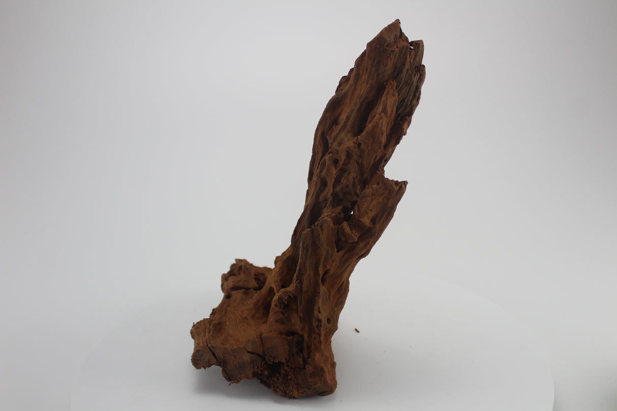 Raíz de Manglar para acuario