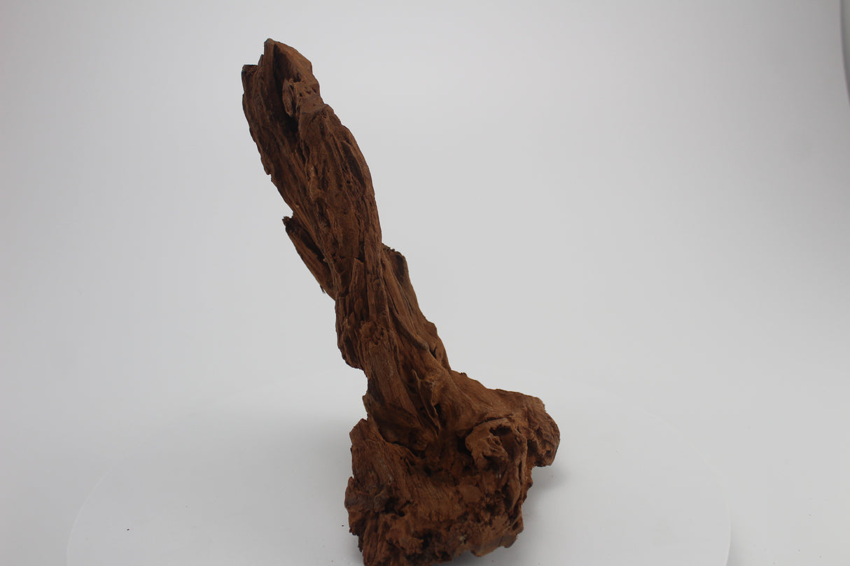 Raíz de Manglar para acuario