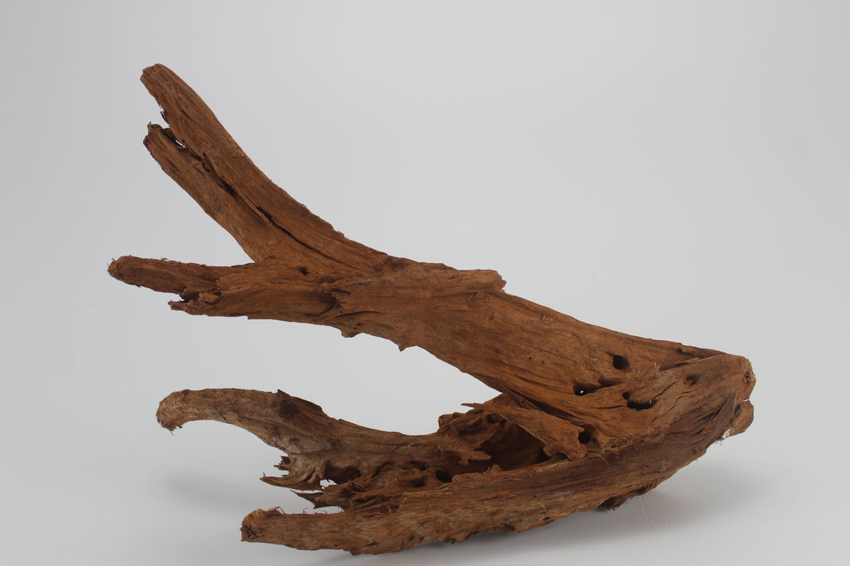 Raíz de Manglar para acuario