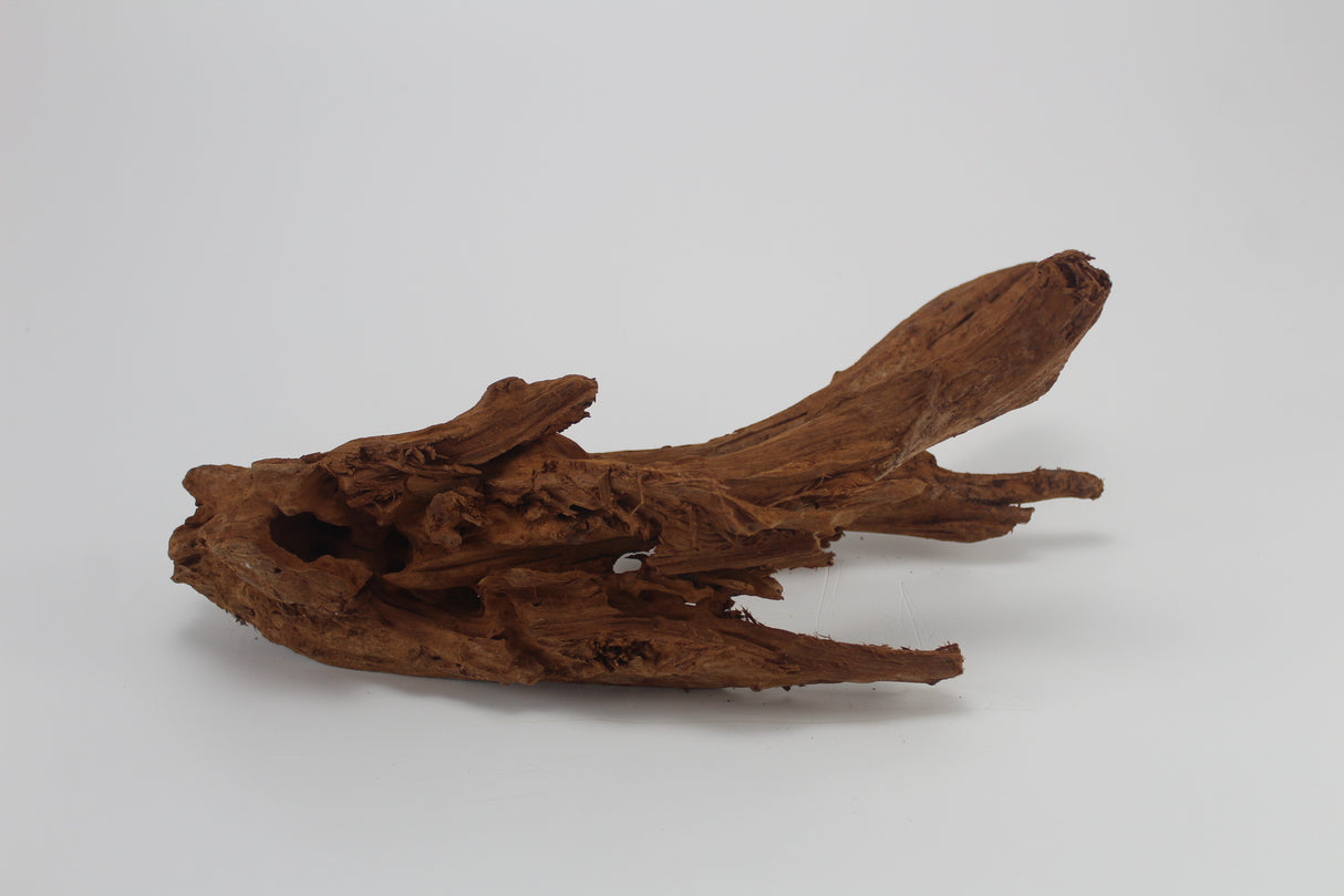 Raíz de Manglar para acuario