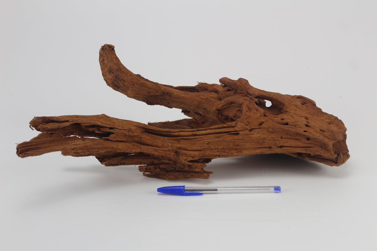 Raíz de Manglar para acuario