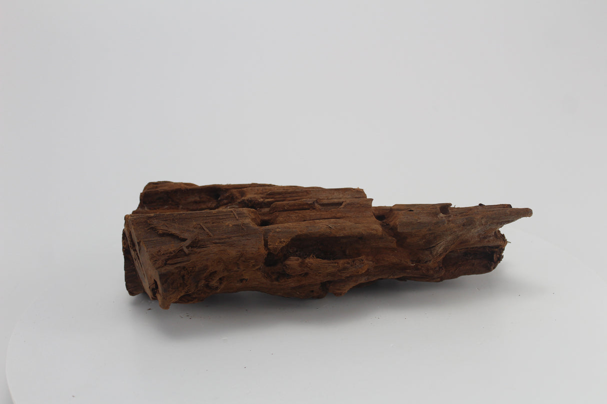 Raíz de Manglar para acuario