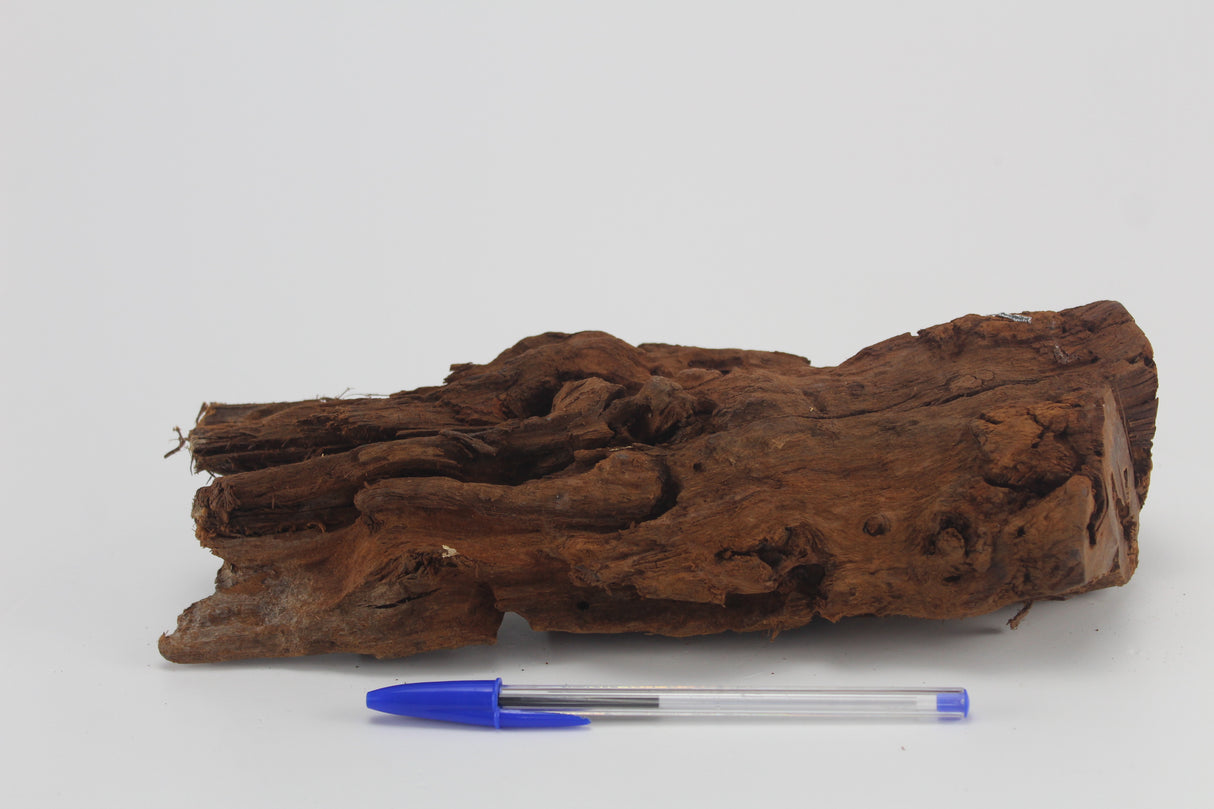 Raíz de Manglar para acuario