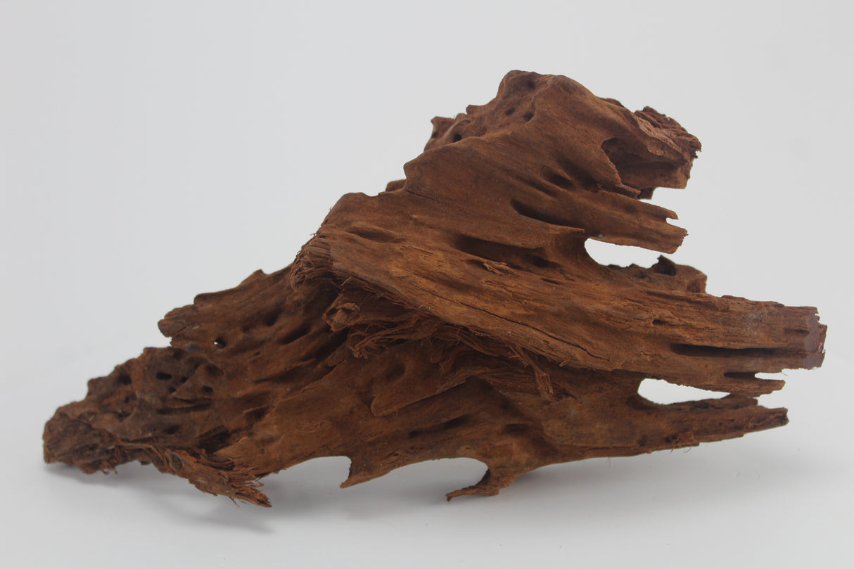 Raíz de Manglar para acuario