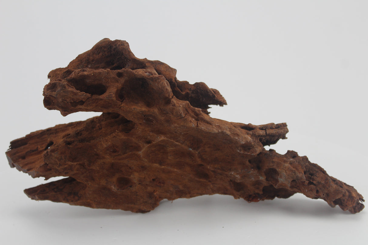 Raíz de Manglar para acuario