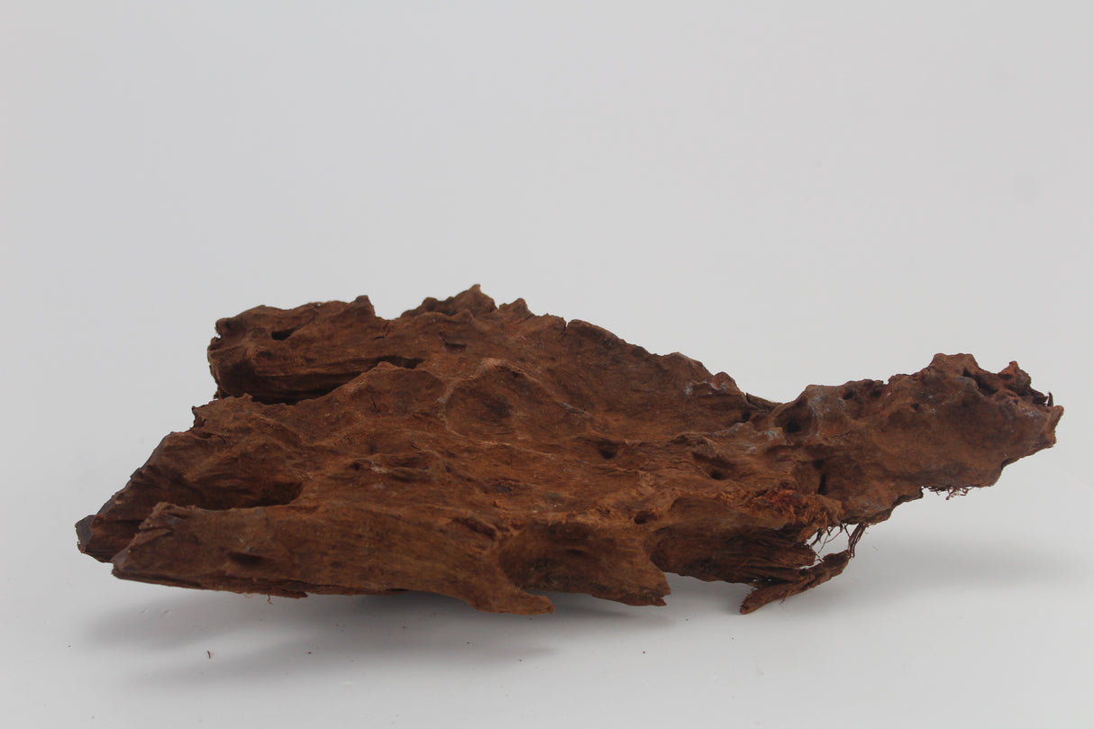 Raíz de Manglar para acuario