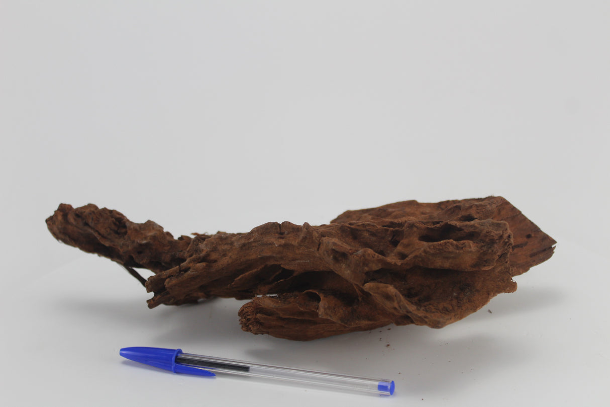 Raíz de Manglar para acuario