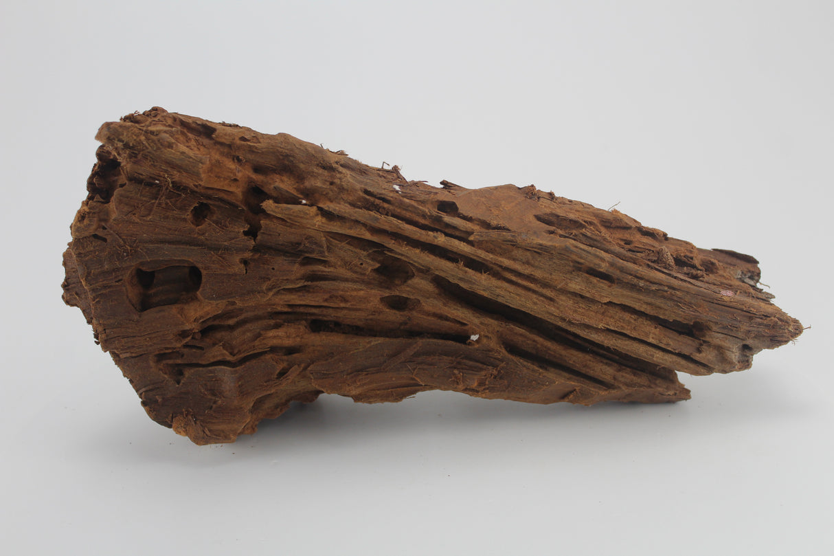 Raíz de Manglar para acuario