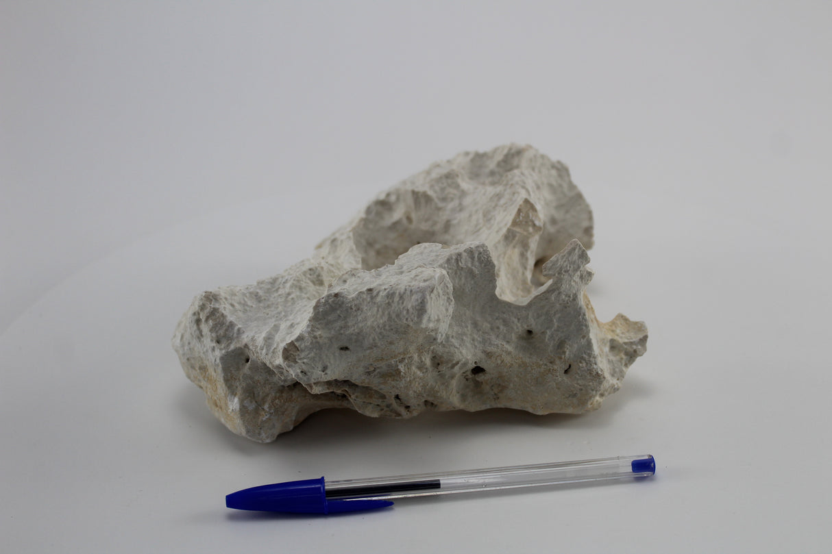 Hole Rock para acuario