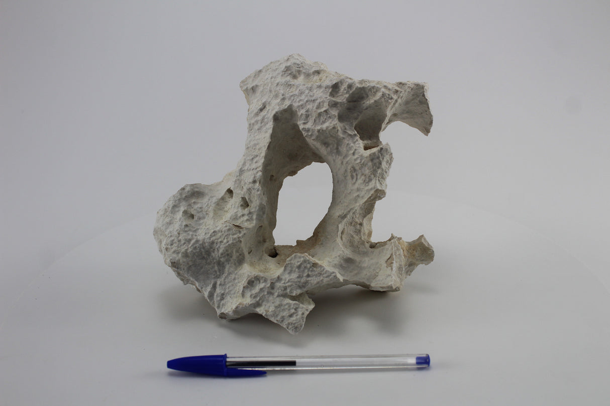 Hole Rock para acuario