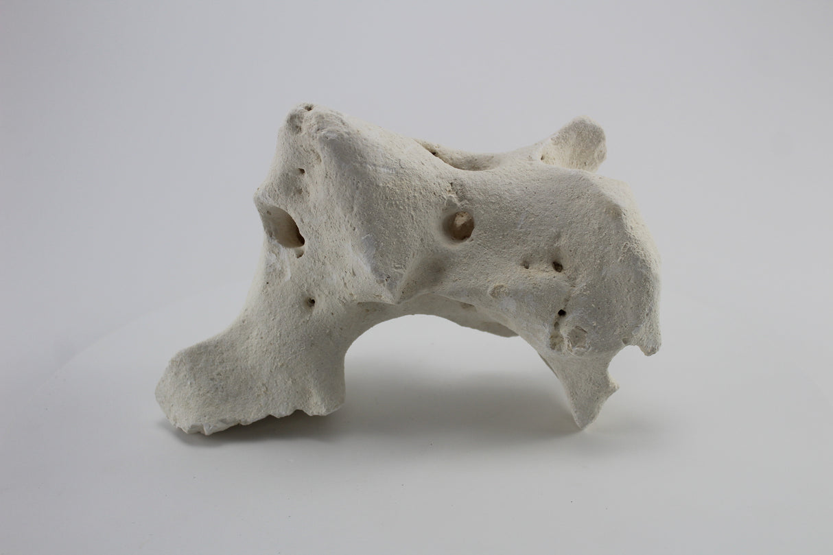 Hole Rock para acuario