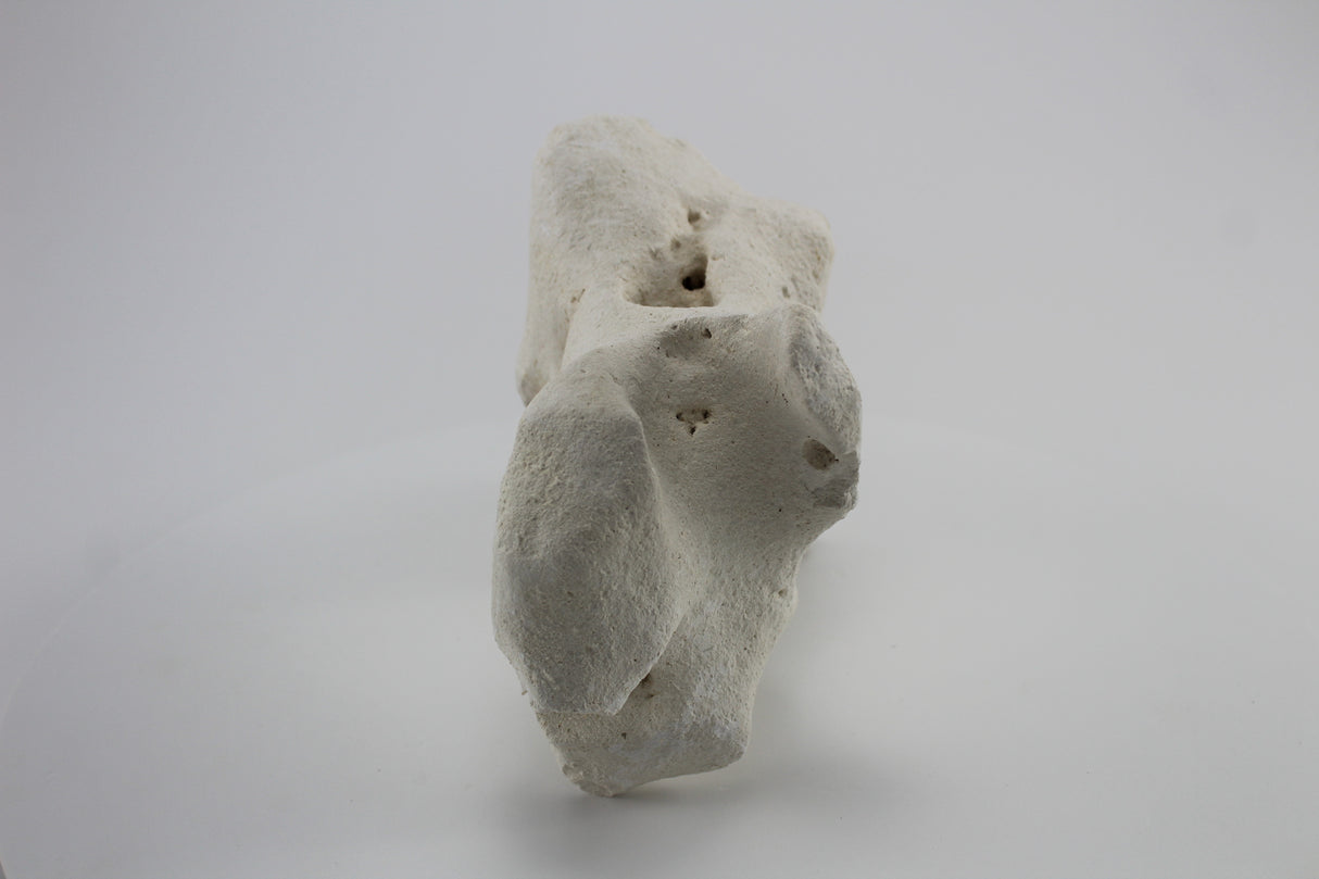 Hole Rock para acuario