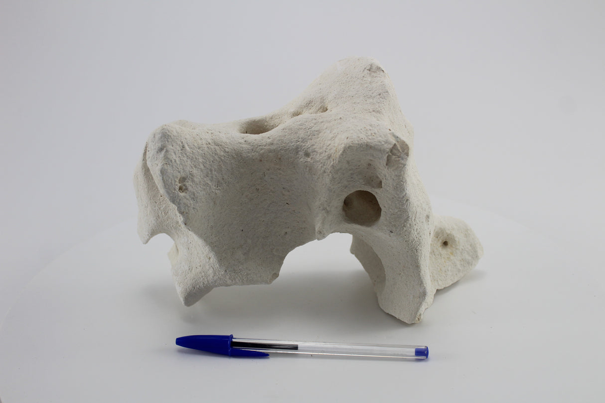 Hole Rock para acuario