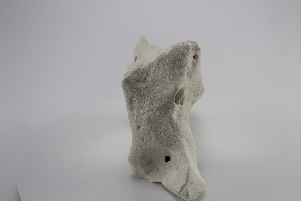 Hole Rock para acuario