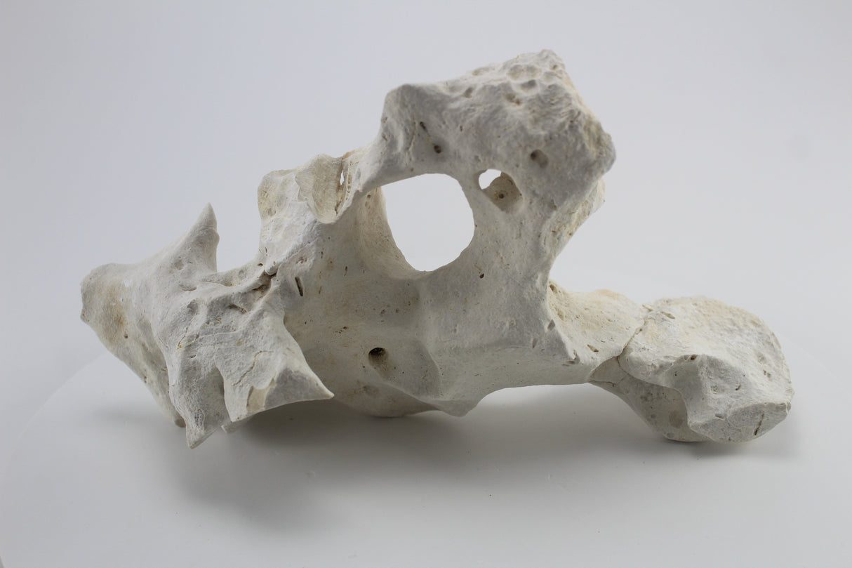 Hole Rock para acuario