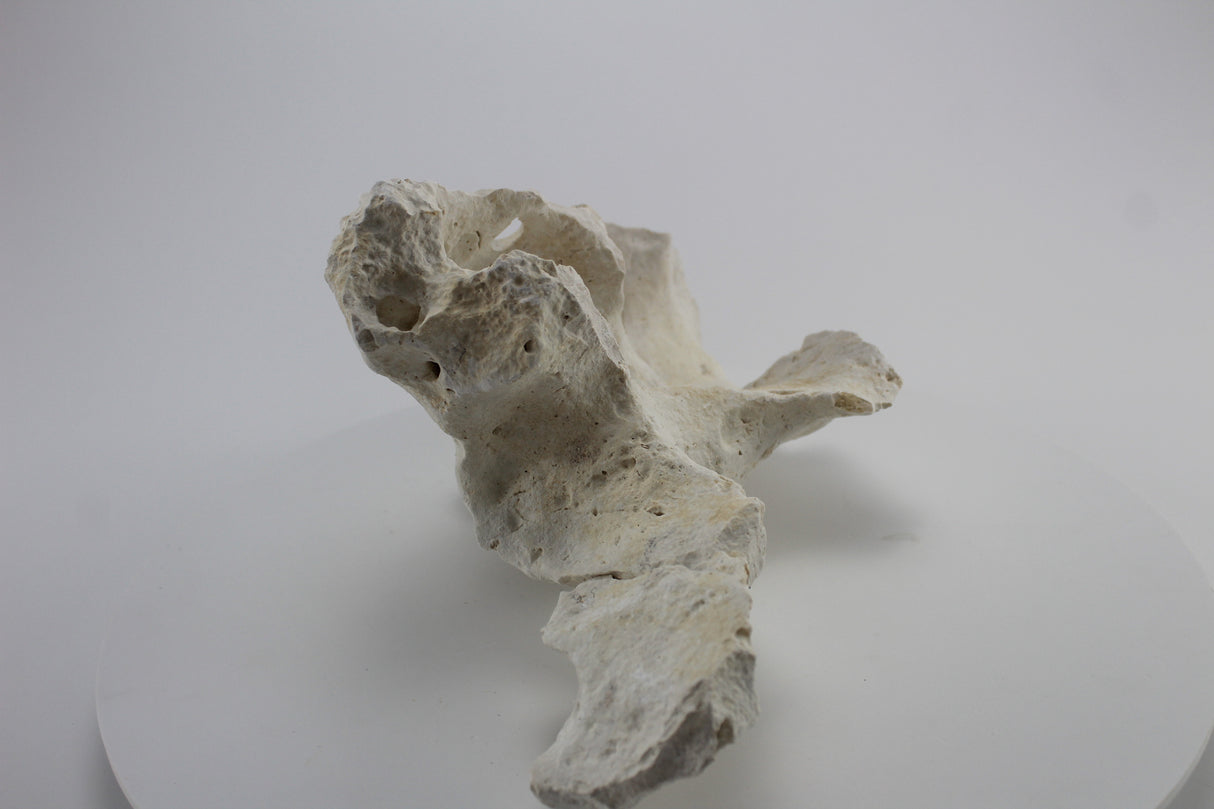 Hole Rock para acuario