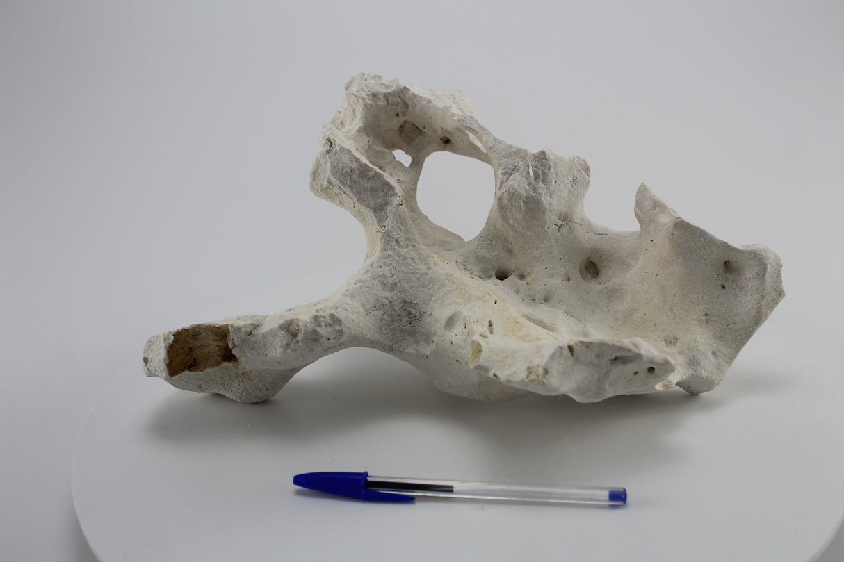 Hole Rock para acuario