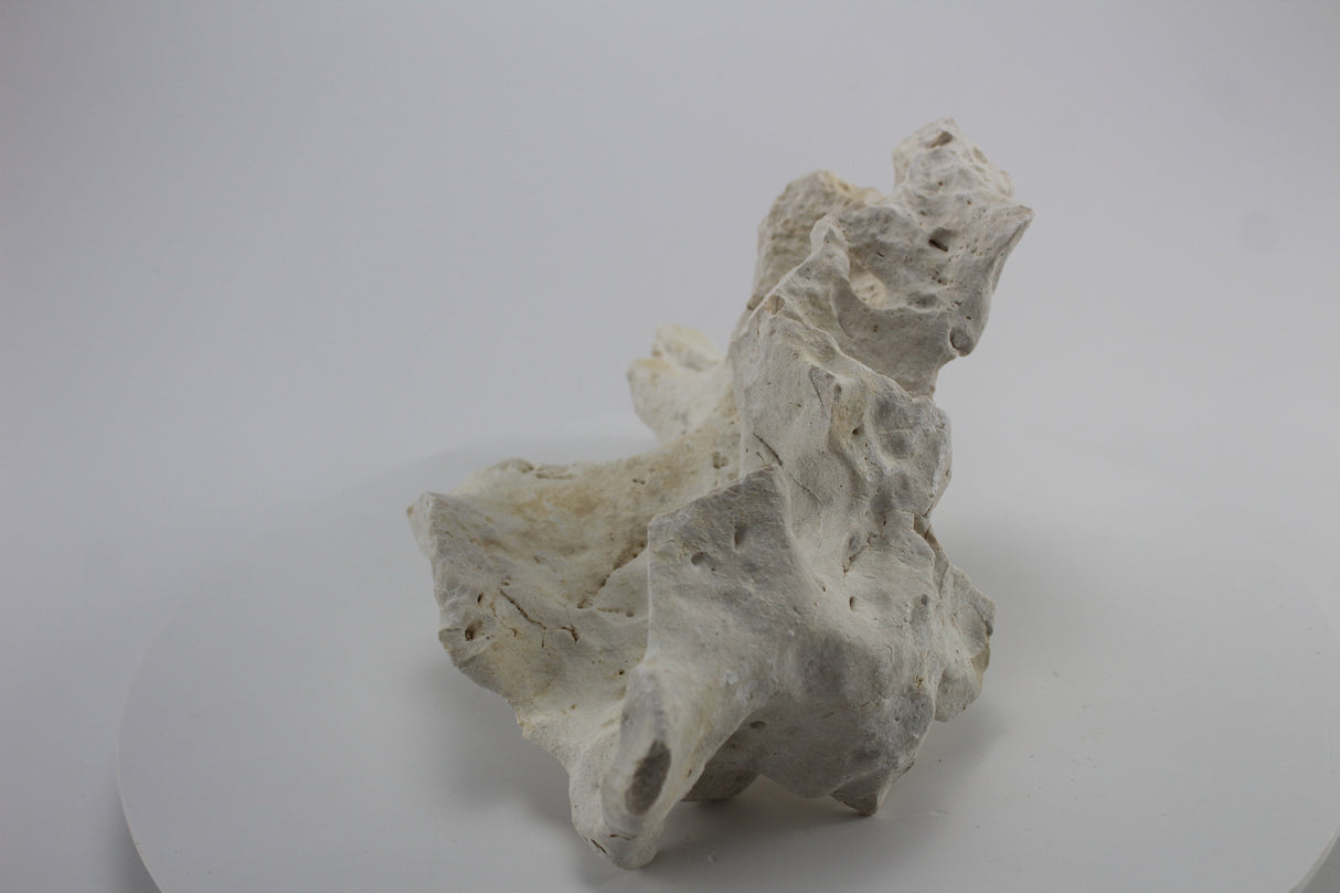 Hole Rock para acuario