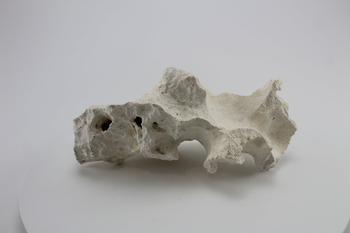 Hole Rock para acuario